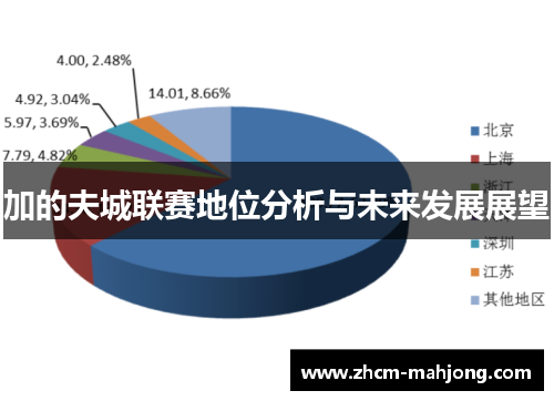 加的夫城联赛地位分析与未来发展展望